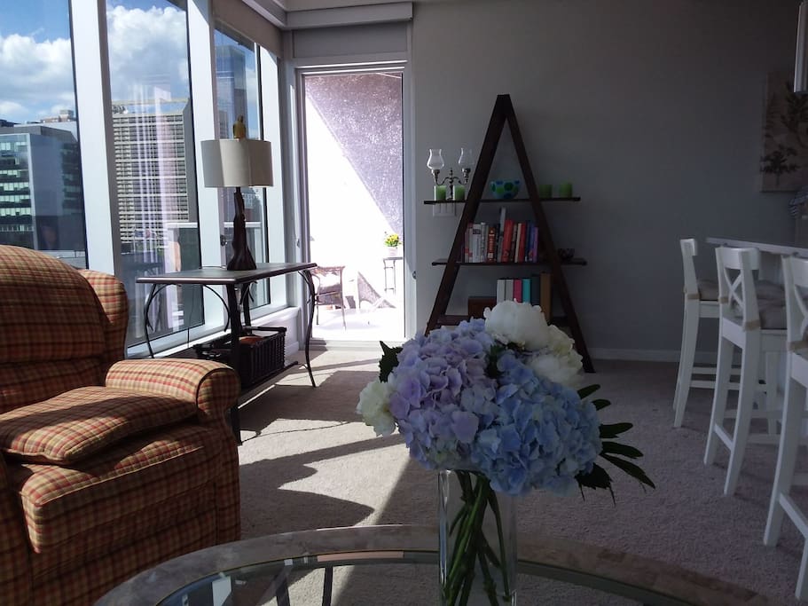 view from couch