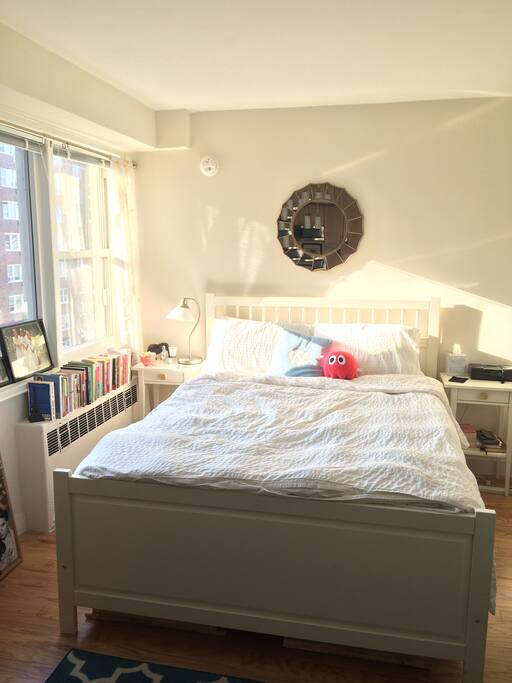 Lots of sunlight!