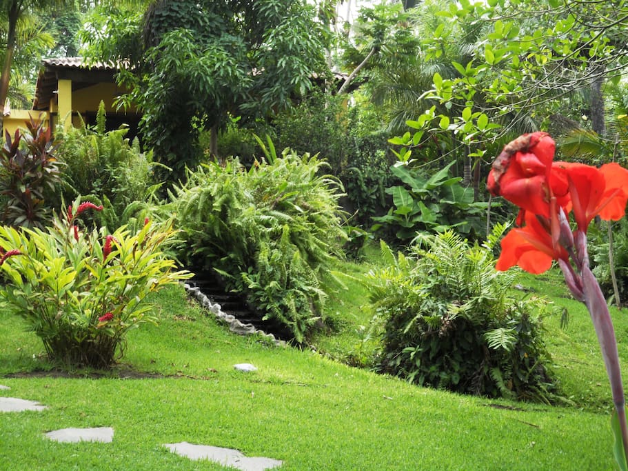Jardin con vista a la villa