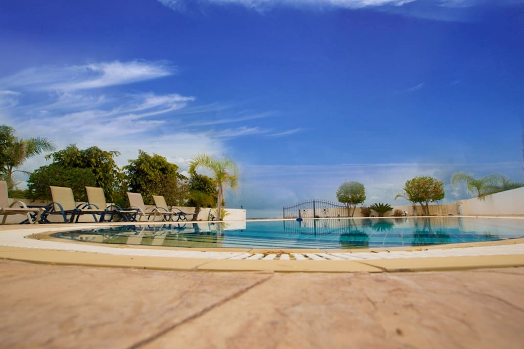 View of the Pool.