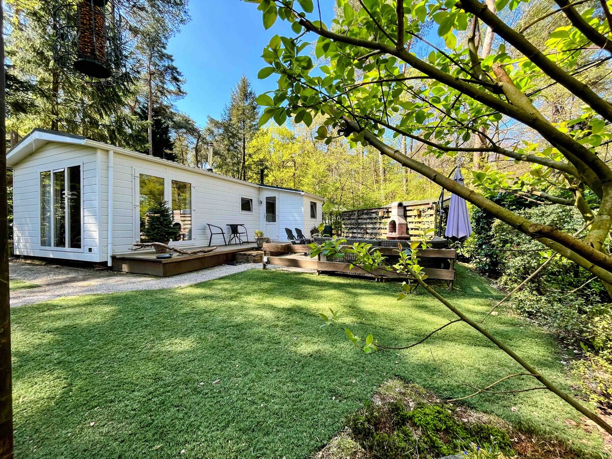 The chalet is set within a lush green landscape, surrounded by trees. A spacious lawn is visible, accompanied by a wooden deck with seating. A barbecue area is present, and a stone fire pit adds a rustic charm. Large windows reflect the natural surroundings.