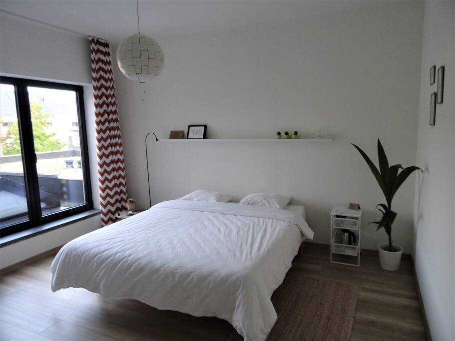 - the guestroom -