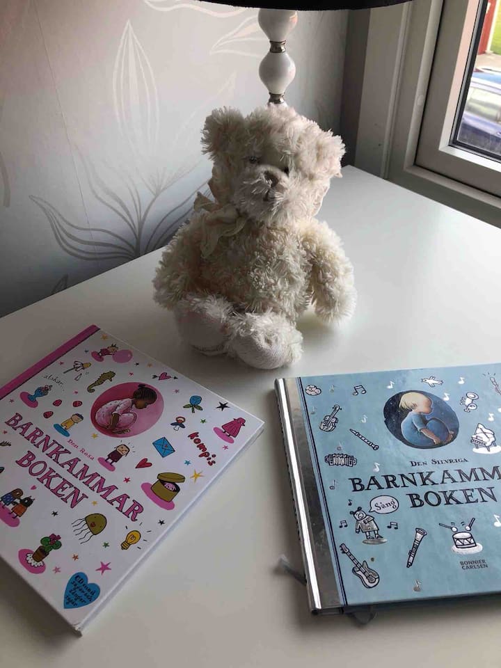 Libros y juguetes infantiles 