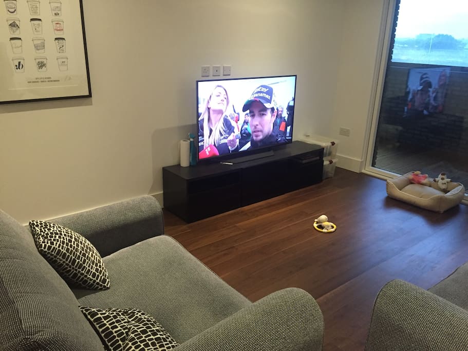 55 inch TV with 4 seater sofa and extra large single seater