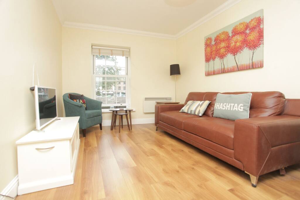 Comfy sofa and flat screen tv