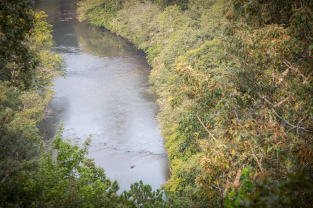 Breath taking views of the Coosawattee River from the deck