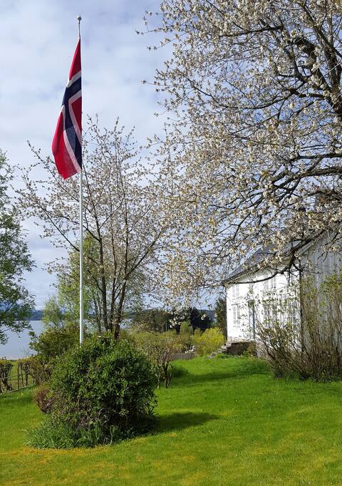 Kjørsvik Øvre, farmstay by the sea.