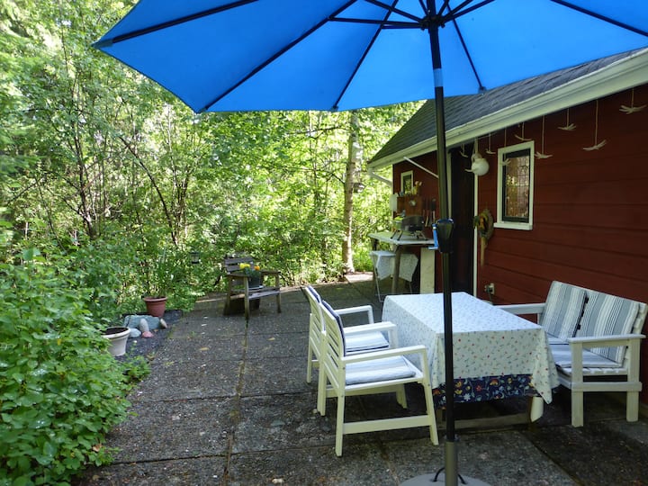 6 Best Cheap Cabin Rentals Near Whistler, Canada Updated 2024 Trip101