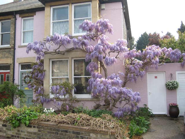 Small,  bright Single close to river