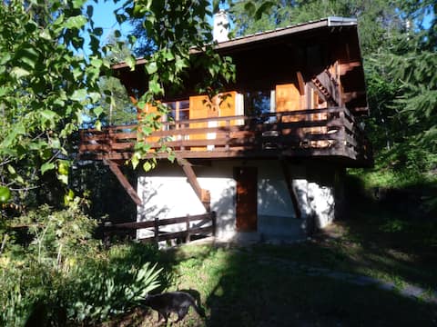 Authentic alpine chalet in Puy-Saint-Vincent