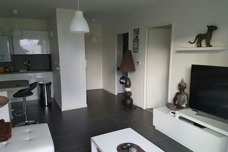 Magnifique T2  St jean de luz 42 m2