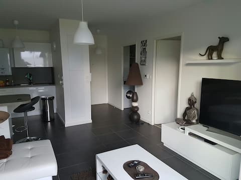 Magnifique T2  St jean de luz 42 m2
