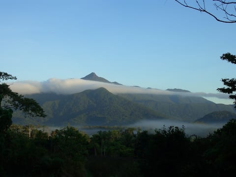 Popular Airbnb listing: Epiphyte B&B - Golden Orchid Cottage in Douglas Shire