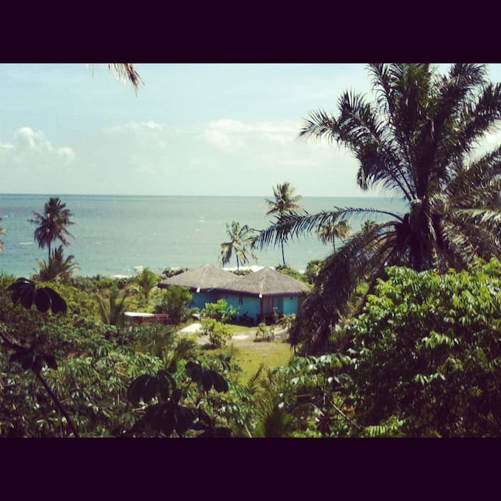 Beautiful beachhouse Bahia Brazil Houses for Rent in Barra Grande