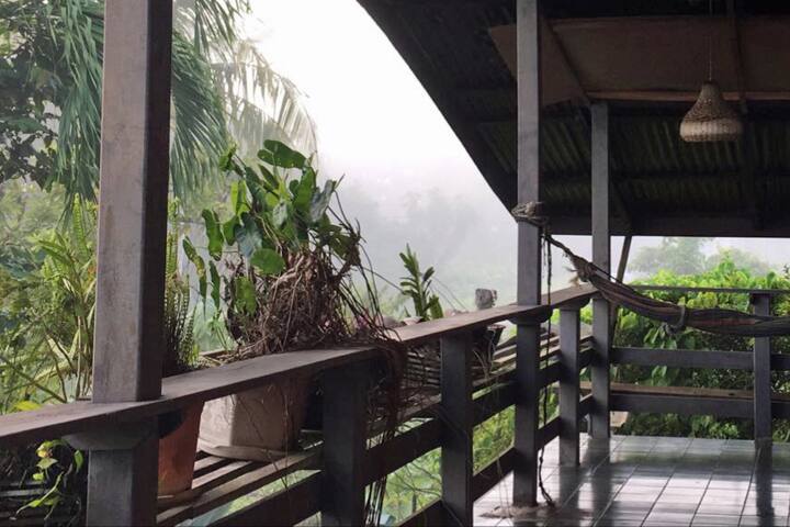 Explore Paramaribo and the Suriname inlands