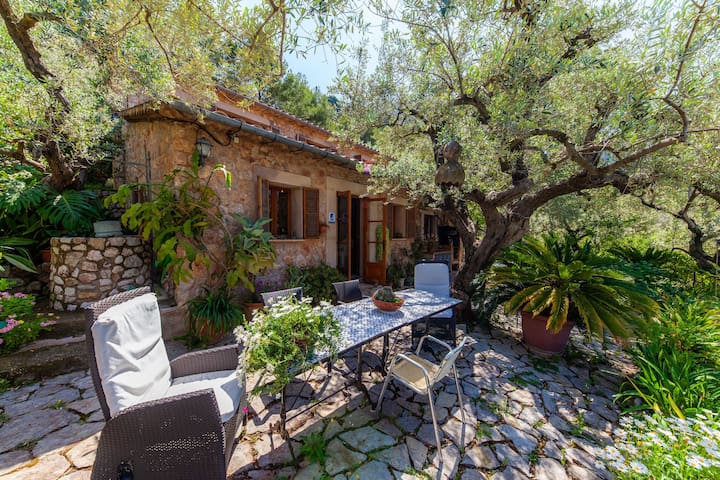 Casa Salva gallery image 2