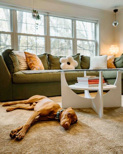 Waterfront, Dog & Family Friendly, Cozy Cottage