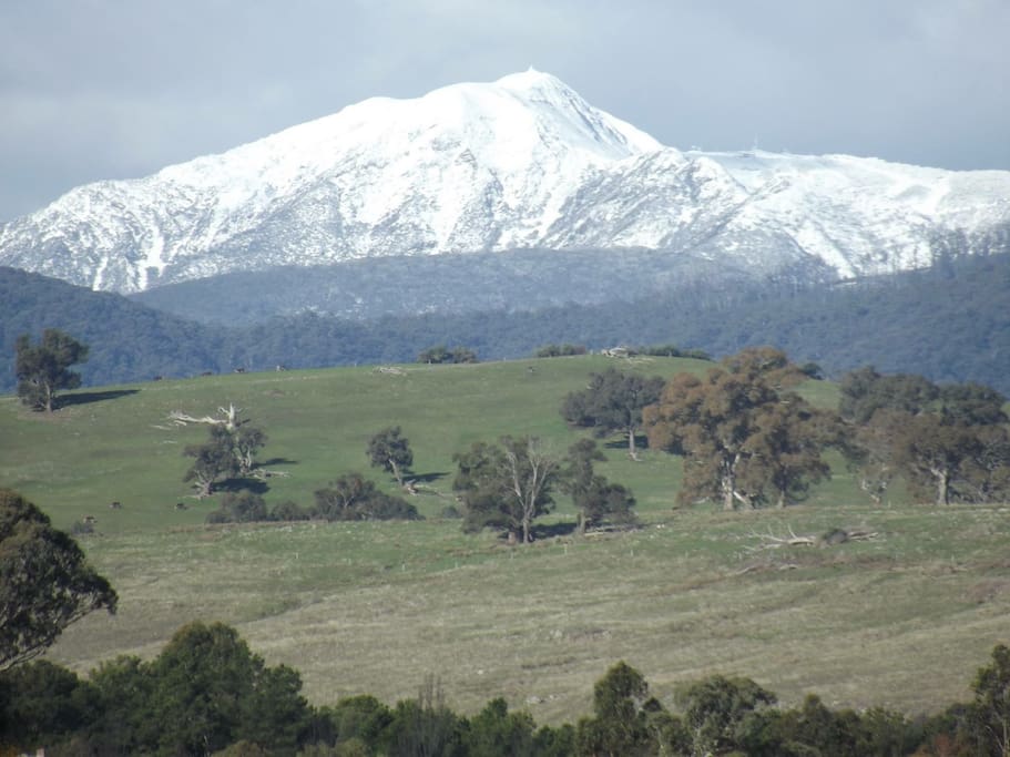View of Mt Buller in Winter from our property
