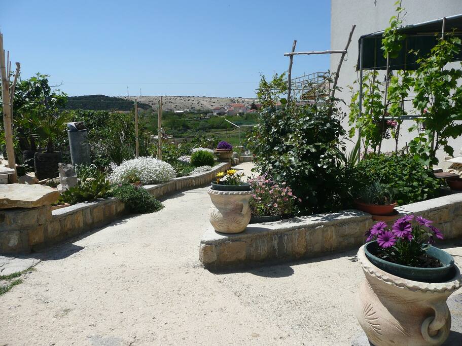 Garten