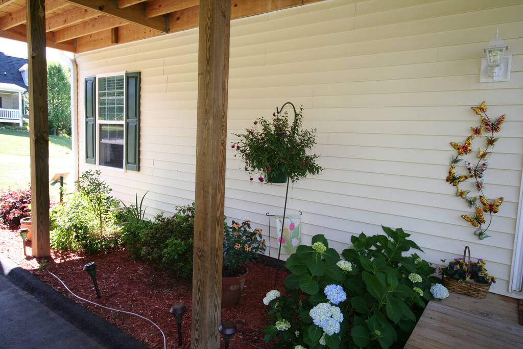 garden by carport driveway
