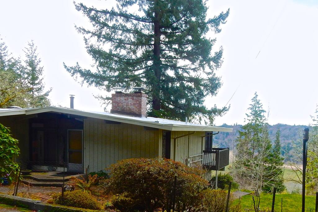 The house