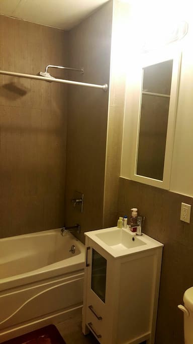 Lower Level Bathroom