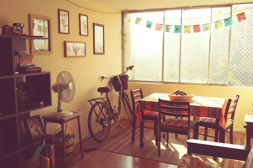 Living comedor iluminado.