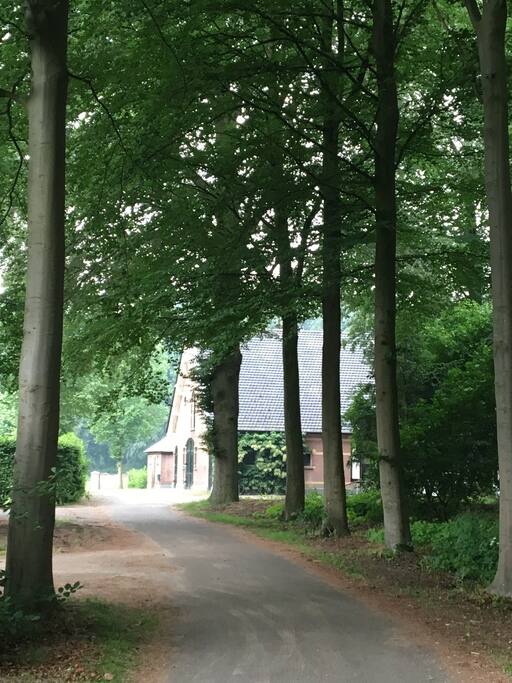 De oprijlaan