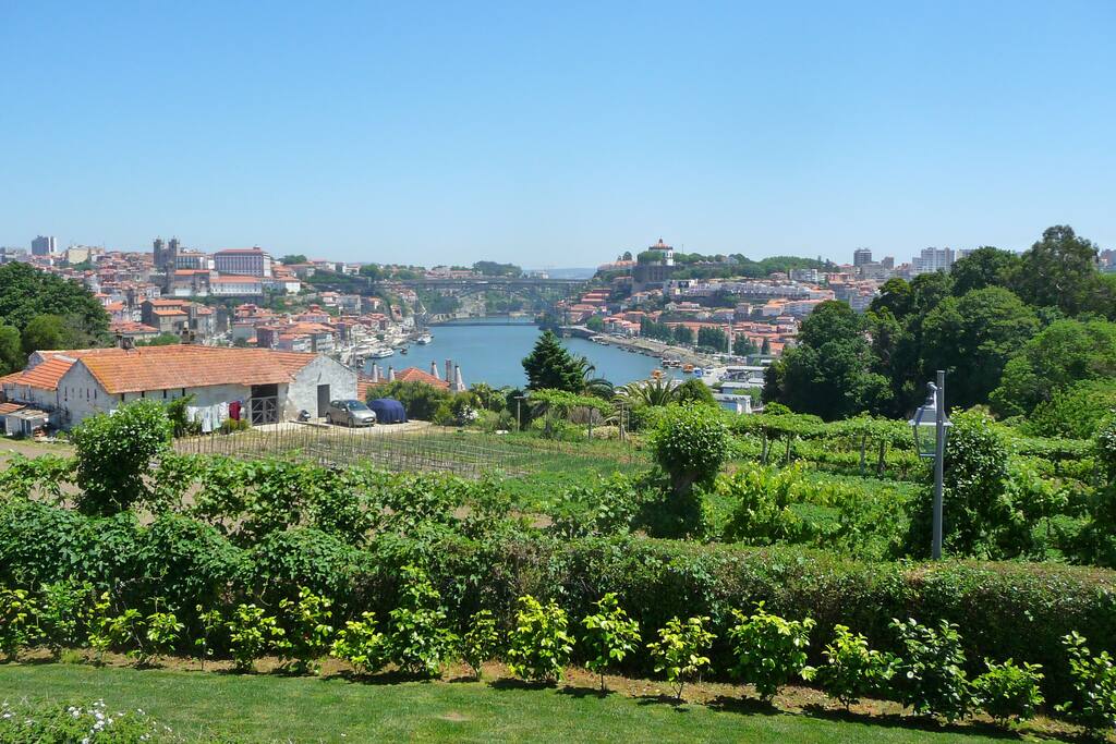 Rio Douro