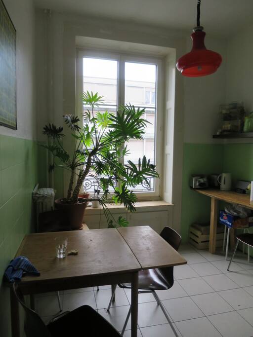 The sunny kitchen