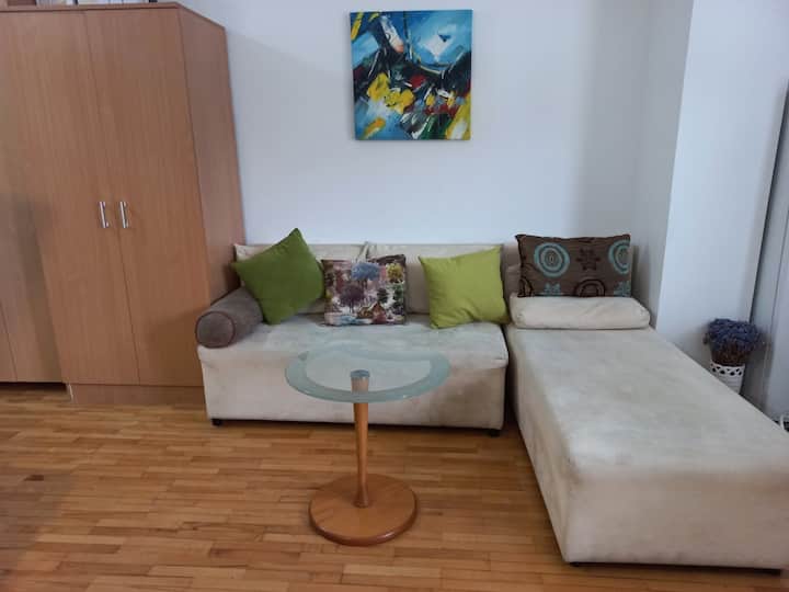 Apartment Center Municip.- Opposite Universal Hall - 스코페