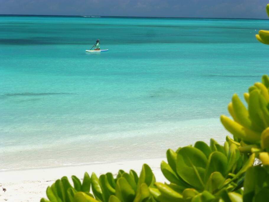 The Beach Front