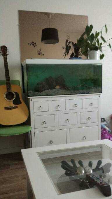 Salon avec aquarium poisson