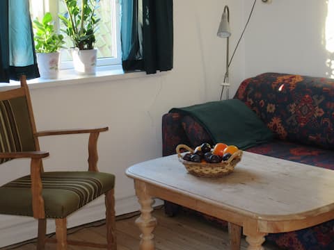 Top performing Airbnb: Bright apartment in cozy old villa in Hasle