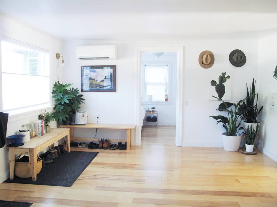 Entrance shoe storage a (looking at Room #1 Door)