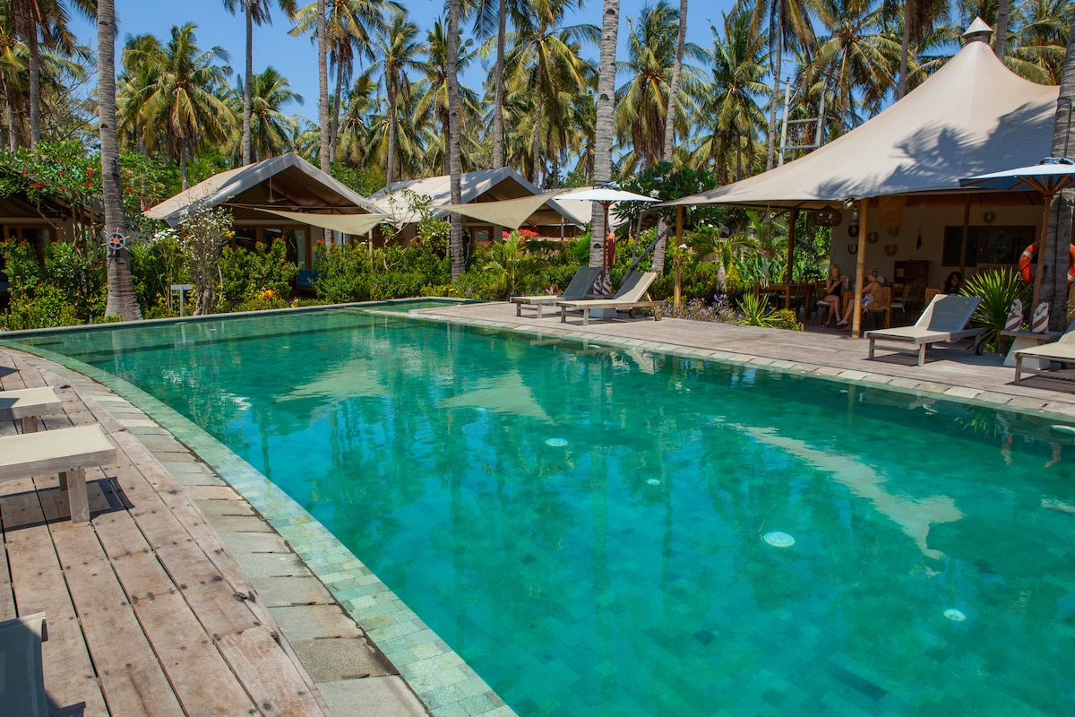 A serene pool area is surrounded by lush palm trees and tropical plants. Comfortable loungers are positioned along the pool's wooden deck, inviting relaxation. Large tents are visible in the background, blending harmoniously with the natural environment.