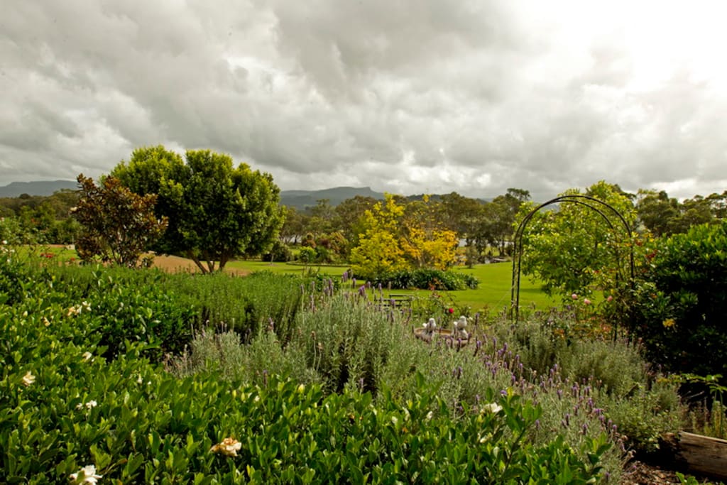 The garden which featured in the 2016 Berry Garden Festival