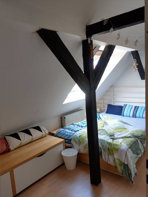 Bedroom with closet