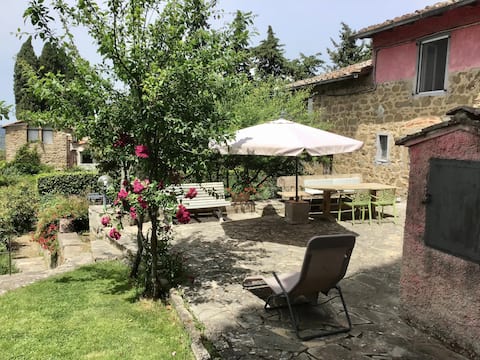 Successful Airbnb property: Casa Mezzomonte Mini Alloro apartment in Greve In Chianti