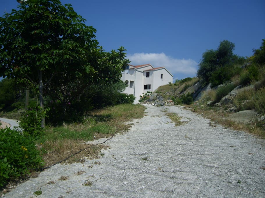 house