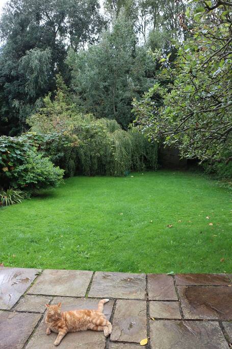 View from bedroom window. Feel free to sit out side. The cat is Hector.
