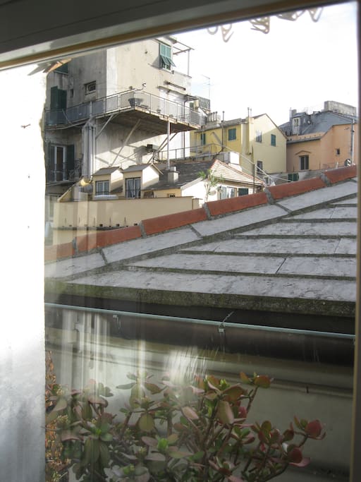 vista tetti (Roofs View)