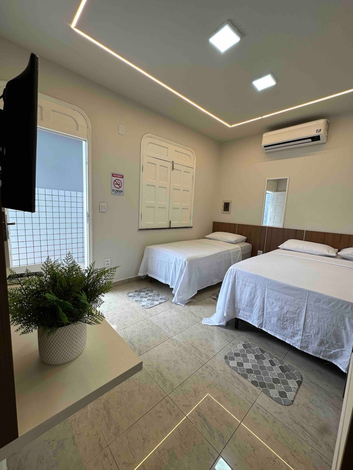 A bright room is featured with two spacious beds, both dressed in white linens. A small decorative plant is placed on a table near the entrance. Light from a nearby window complements the modern lighting on the ceiling. A television is mounted on the wall.