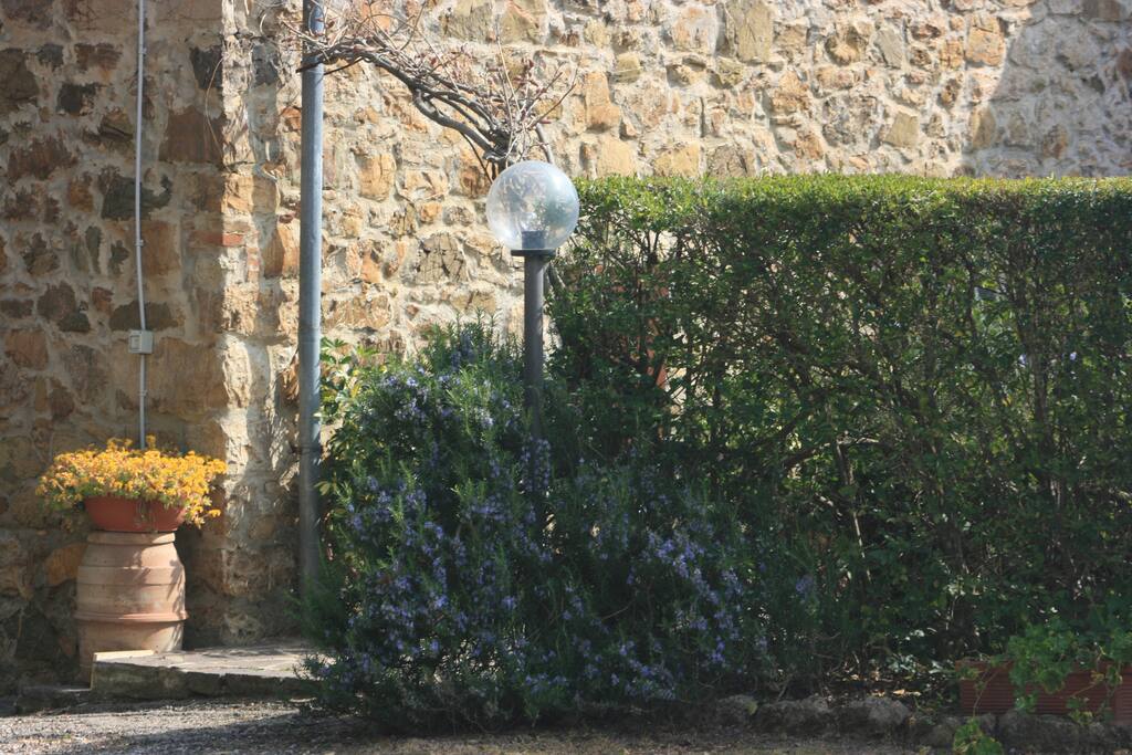 L' angolo della scala esterna che comunica il giardino esclusivo con i giardini comuni e la pineta