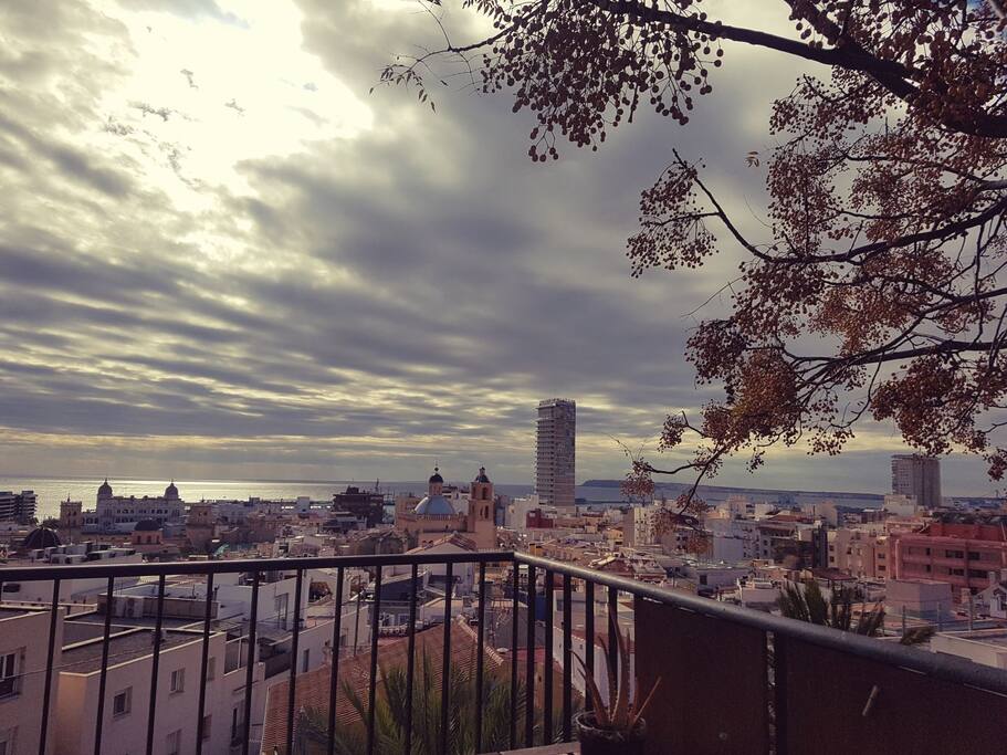 Views from the terrace