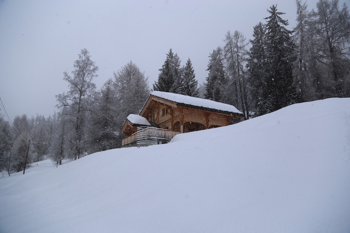 A charming chalet is nestled among tall trees, with a snow-covered landscape surrounding it. The building features a wooden exterior and a covered porch, which provides a serene, winter atmosphere. Fluffy snow blankets the ground, adding to the tranquil setting.