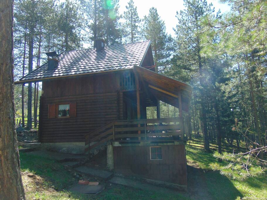 house ith yard