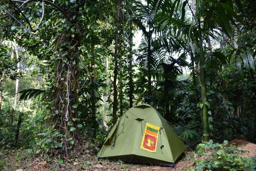 Under a passion fruit canopy
