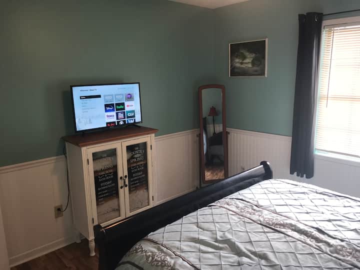 Roku TV s Disney+, Hulu, streamingom gostiju.