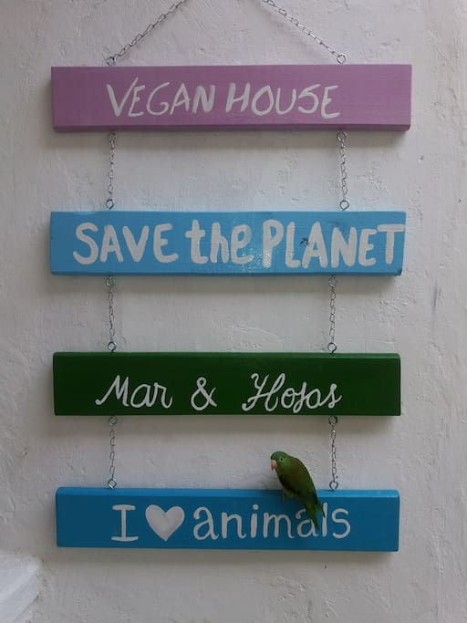 Casa vegana Mar & Hojas